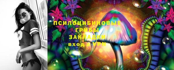 СК Аркадак