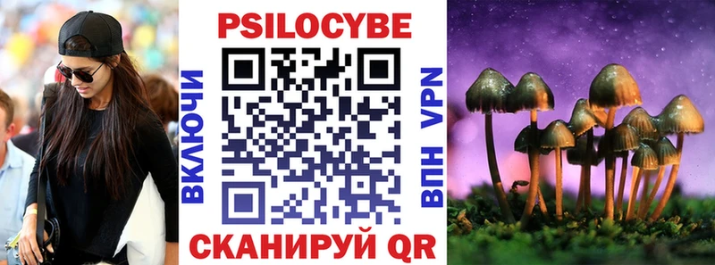 Псилоцибиновые грибы прущие грибы  KRAKEN вход  Новосокольники 